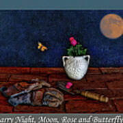 Starry Night Moon Rose And Butterfly Art Print