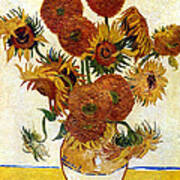 Still Life With Sunflowers Art Print