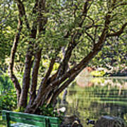 Stow Lake Bench Art Print