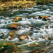 Stream Fall Colors Great Smoky Mountains Painted Art Print