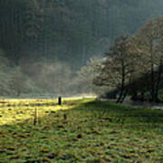 Sunbeams And Mist - Wolfscote Dale Art Print