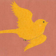 Sunbird Art Print