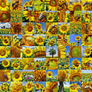 Sunflower Field Collage In Yellow Art Print