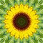 Sunflower Kaleidoscope 1 Art Print