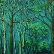 Sunlit Woodland Path Art Print