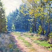 Sunny Corner Pine Forest Art Print