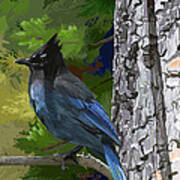 Sunny Stellers Jay Art Print