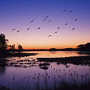 Sunrise At Assateague - Wetlands - Silhouette Art Print