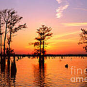 Sunset Lake In Louisiana Art Print