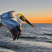 Sunset Pelican Art Print