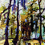 Swamp Morning Cypress Trees Art Print