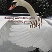 Swan Hugs Art Print