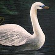 Swan I Art Print