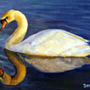 Swan Swimming At Sunset Art Print