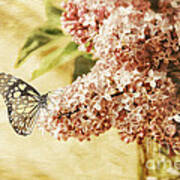 Sweet Lilacs Art Print