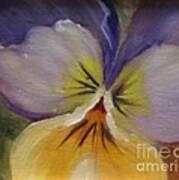 Sweet Pansy Art Print