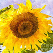 Sweet Sunflower Art Print