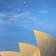 Sydney Opera House With Sacred Ibis Art Print