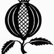 Symbol Pomegranate Art Print