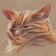 Tabby Cat Portrait In Pastels Art Print