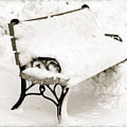 Take A Seat  And Chill Out - Park Bench - Winter - Snow Storm Bw Art Print