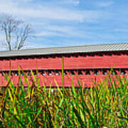 Tall Grass And Sachs Covered Bridge Art Print