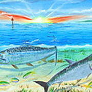 Tarpon At Sunrise Art Print