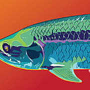 Tarpon Colors Art Print