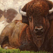 Tatanka Art Print