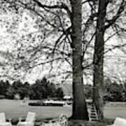Terrace And Lawn Of Hickory Hill Art Print