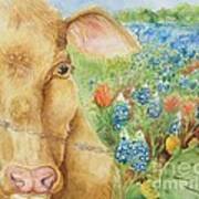 Texas Hill Country Cow Art Print