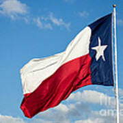 State Flag Of Texas Art Print