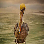 That's Mr. Pelican To You Art Print