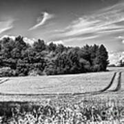 Thaxted Basks In Glorious Sun Art Print