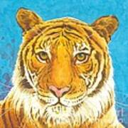 The Bengal Tiger Art Print