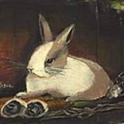 The Dutch Rabbit Art Print