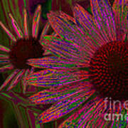 The General Cone Flower Back In The Day Art Print