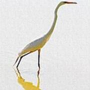 The Greater Egret With Style Art Print