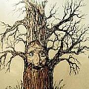 The Old Man In The Tree Art Print