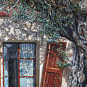 The Old Olive Tree And The Old House Art Print