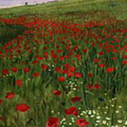 The Poppy Field Art Print