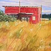 The Red Shed Art Print
