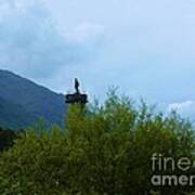 The Scots Monument Over The Tree Tops Art Print