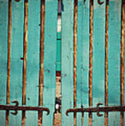 The Turquoise Gate Art Print