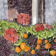 Floral Prints, Flower Prints, Flower Painting, The Window Box Art Print