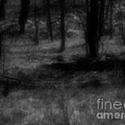 The Woods Are Lovely Dark And Deep Art Print