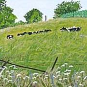 This Bed Of Herd's Grass Art Print
