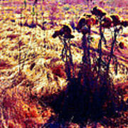 Thistles In A Summer Field Art Print