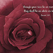 Though Your Sins Be As Scarlet Red Rose Art Print