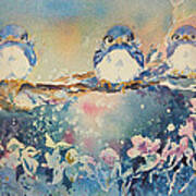 Three Blue Birds Art Print